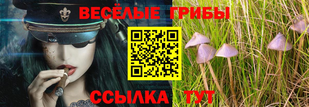 Псилоцибиновые грибы ЛСД Кандалакша