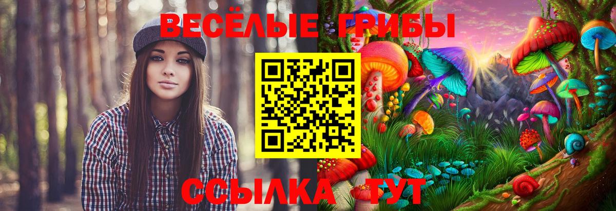 Каннабис Кандалакша