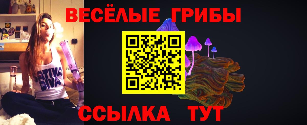 Кандалакша  Галлюциногенные грибы ЛСД  наркота  Вход с VPN 